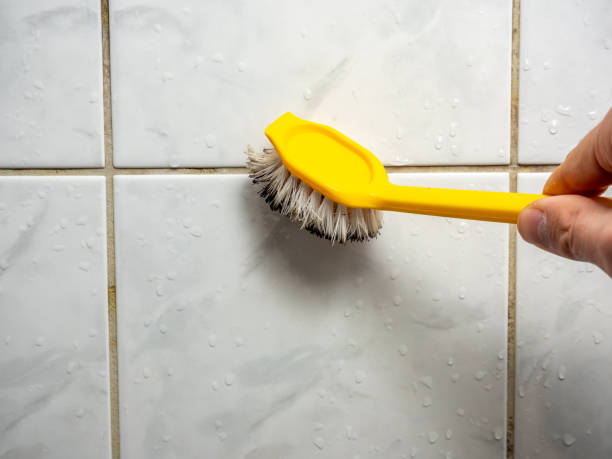 Crane, MO Mold Removal Company