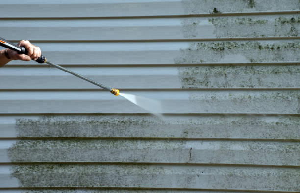 Best Mold Removal and Inspection  in Crane, MO