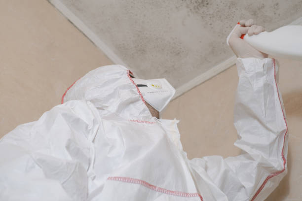 Best Black Mold Removal  in Crane, MO